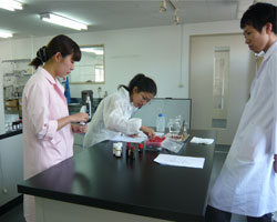 インターンシップの様子４